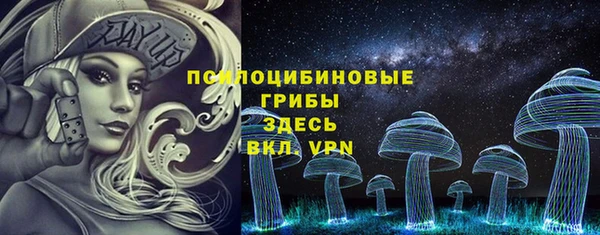 не бодяженный Арсеньев