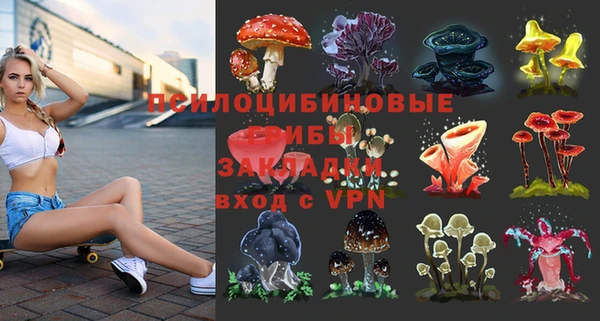 не бодяженный Арсеньев